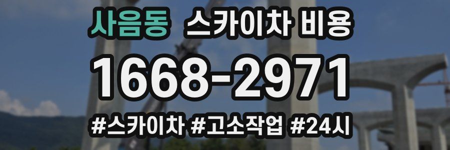 사음동 스카이차 비용