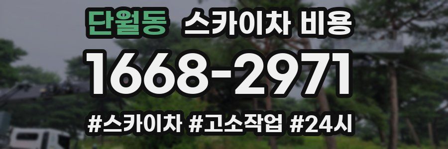 단월동 스카이차 비용