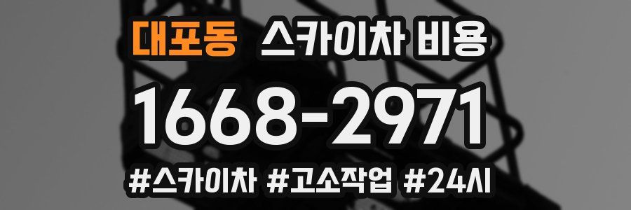 대포동 스카이차 비용