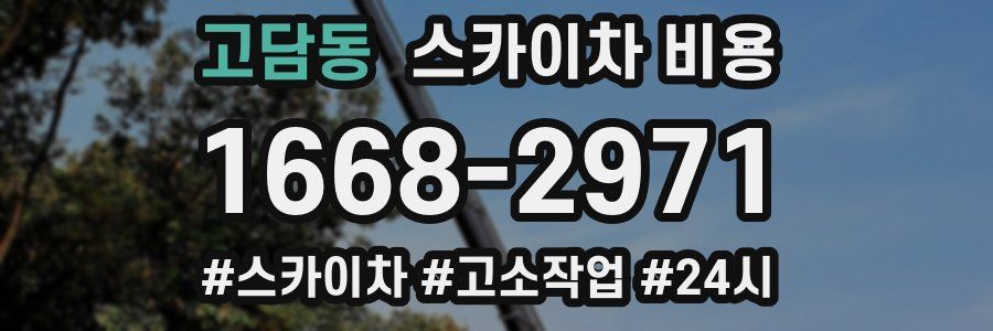 고담동 스카이차 비용