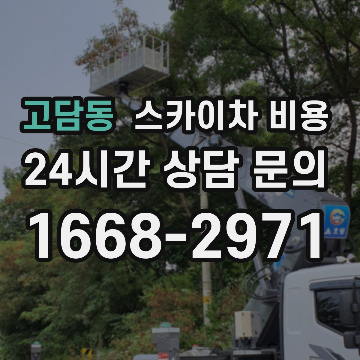 고담동 스카이차 비용