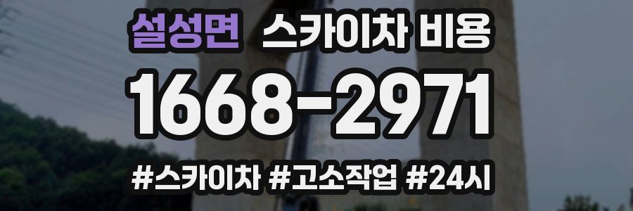 설성면 스카이차 비용