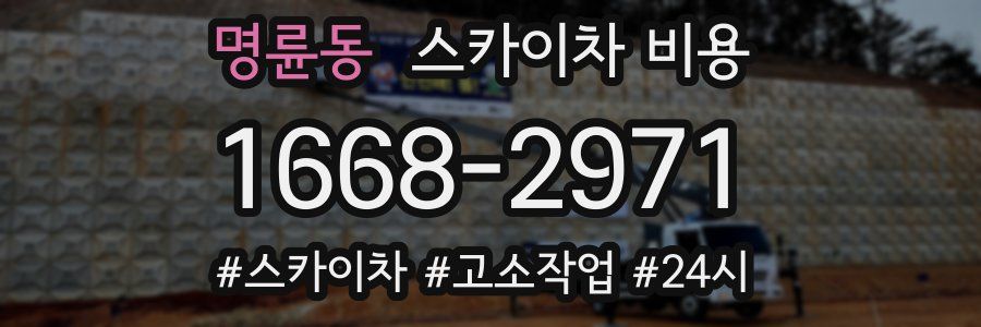 명륜동 스카이차 비용