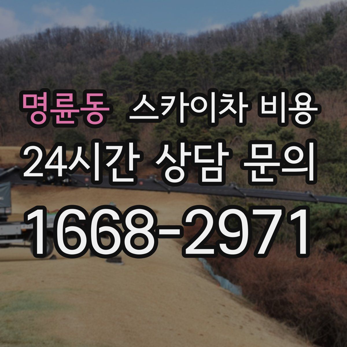 명륜동 스카이차 비용