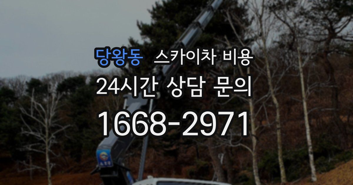 당왕동 스카이차 비용