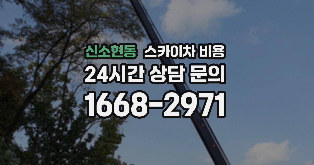 신소현동 스카이차 비용