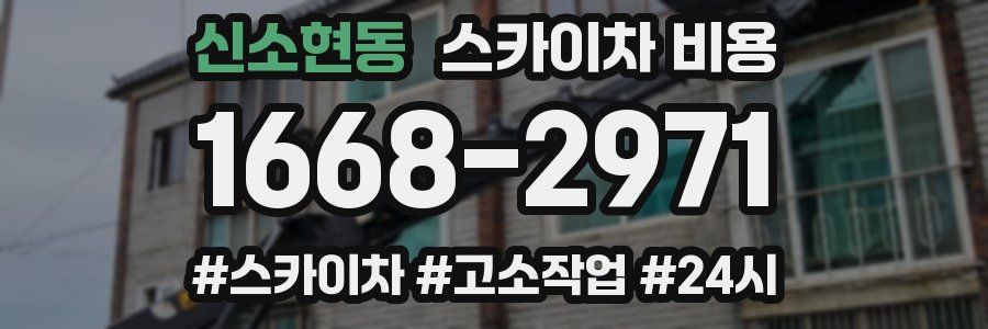 신소현동 스카이차 비용