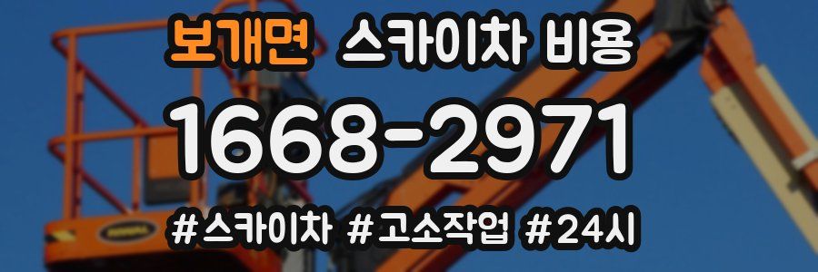 보개면 스카이차 비용