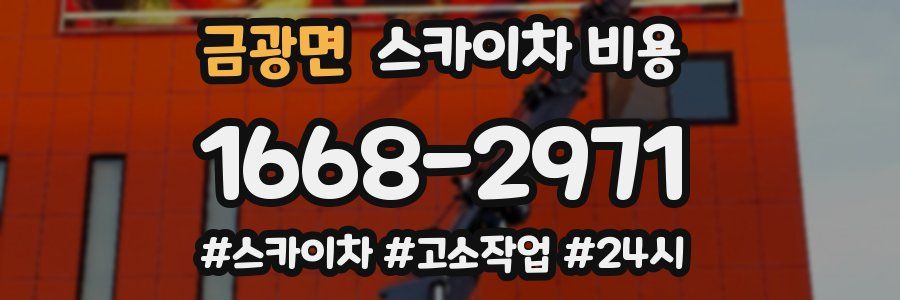 금광면 스카이차 비용