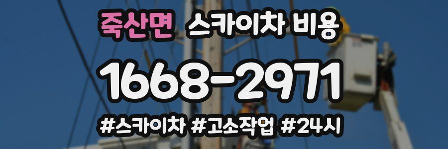 죽산면 스카이차 비용