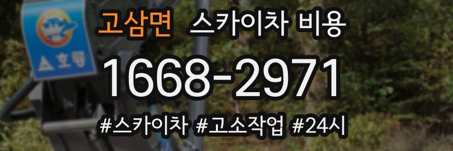 고삼면 스카이차 비용
