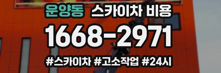 운양동 스카이차 비용