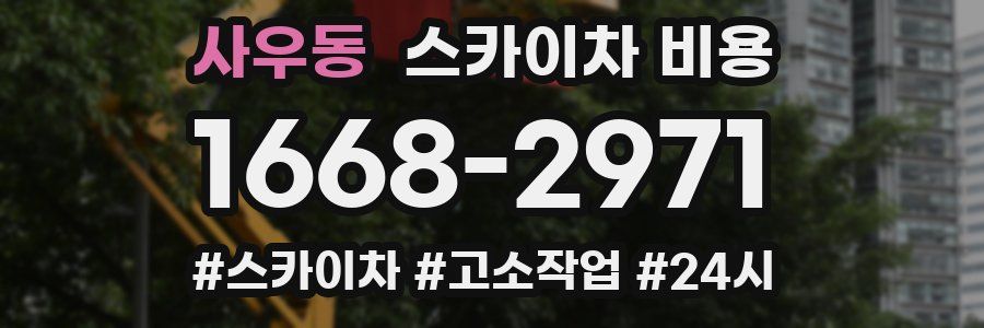 사우동 스카이차 비용