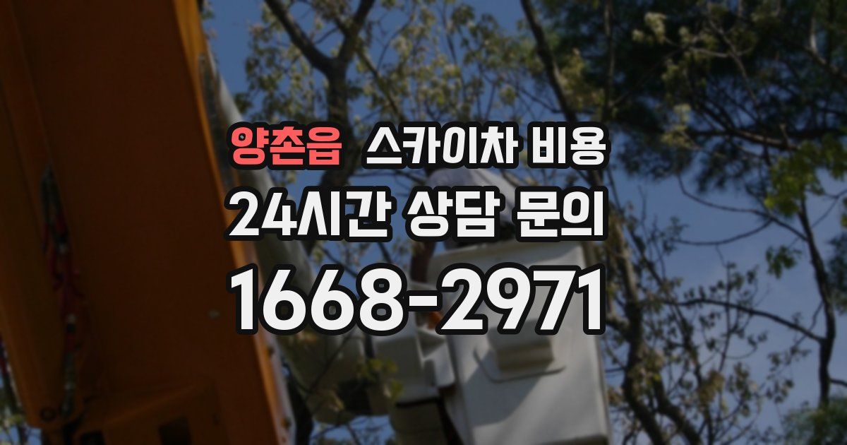 양촌읍 스카이차 비용