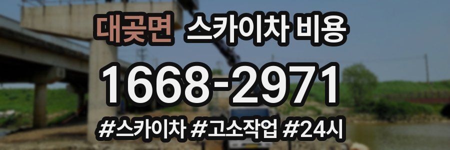 대곶면 스카이차 비용