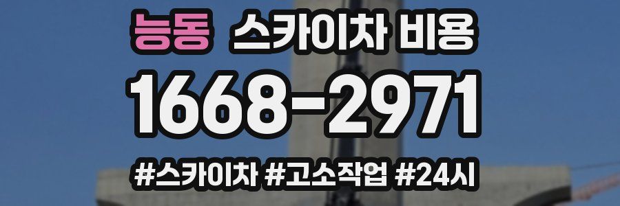 능동 스카이차 비용