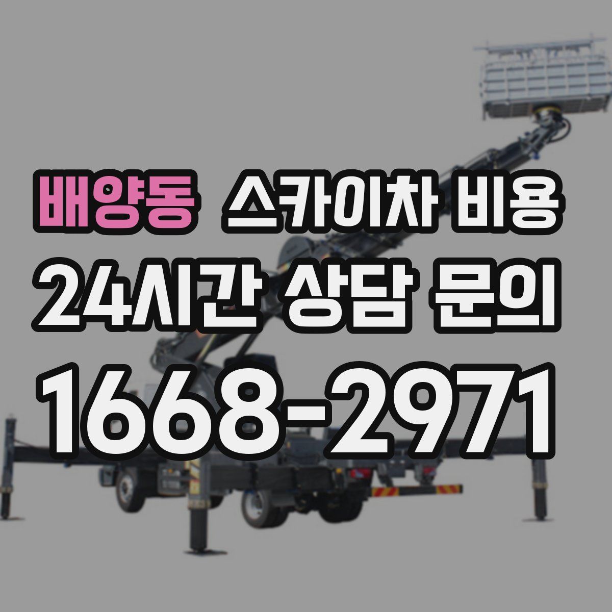 배양동 스카이차 비용