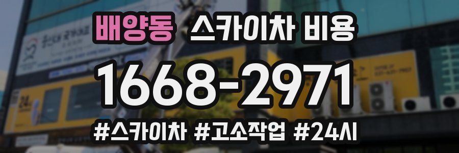 배양동 스카이차 비용