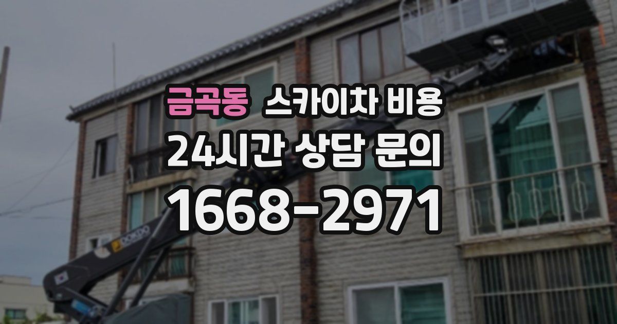 금곡동 스카이차 비용