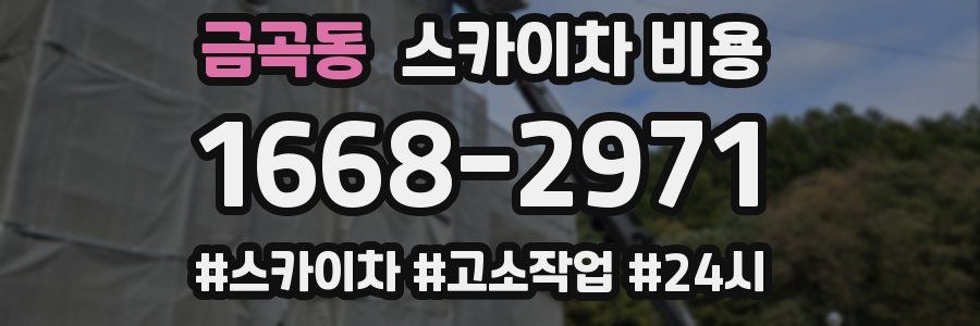 금곡동 스카이차 비용