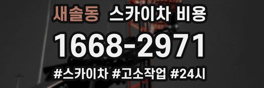 새솔동 스카이차 비용