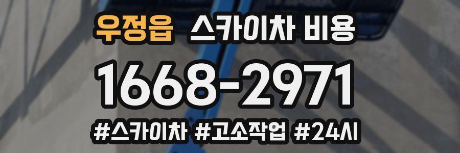 우정읍 스카이차 비용