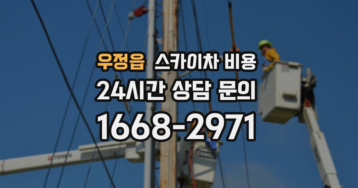 우정읍 스카이차 비용