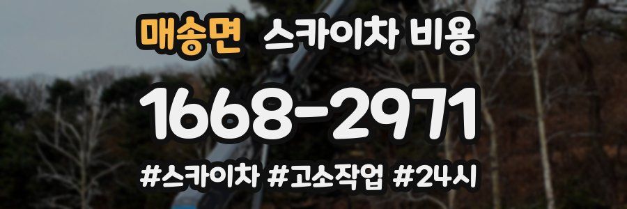매송면 스카이차 비용
