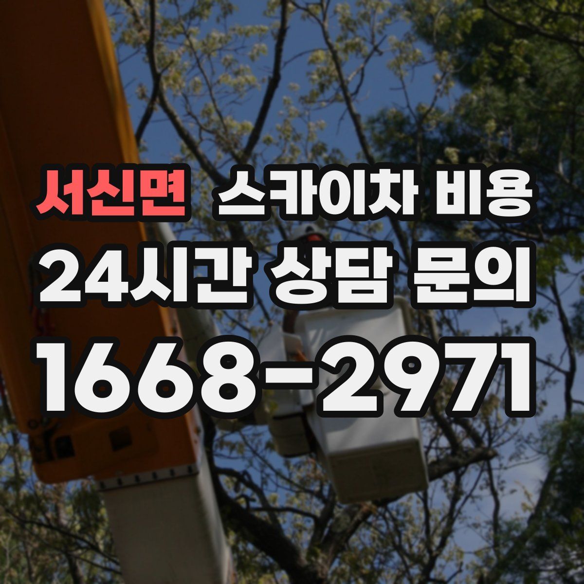 서신면 스카이차 비용