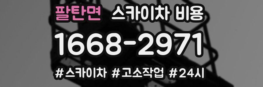 팔탄면 스카이차 비용