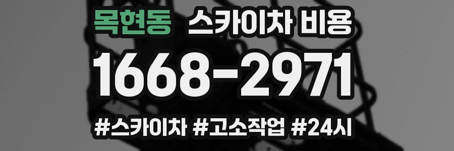 목현동 스카이차 비용