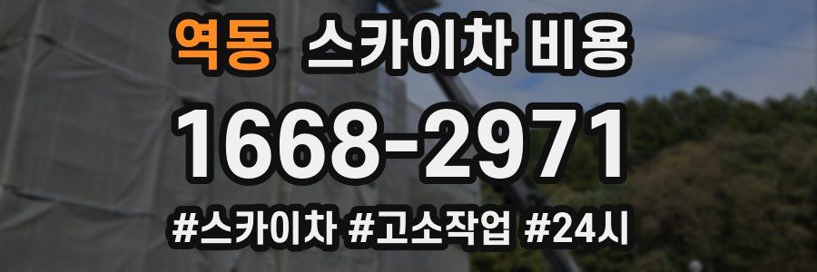 역동 스카이차 비용