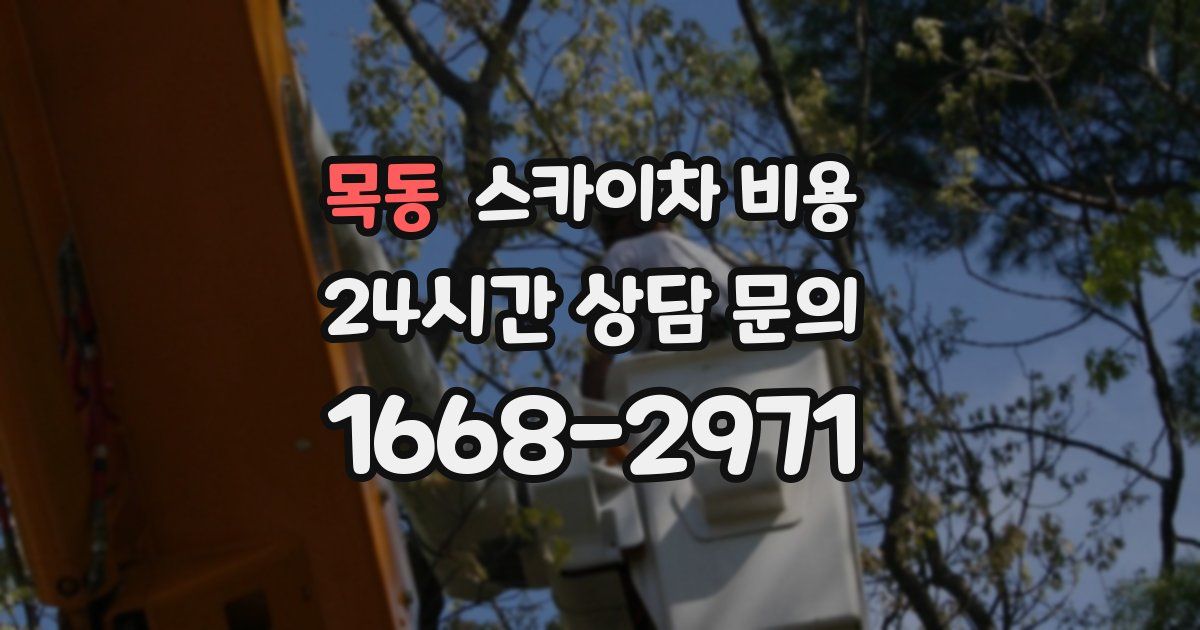 목동 스카이차 비용