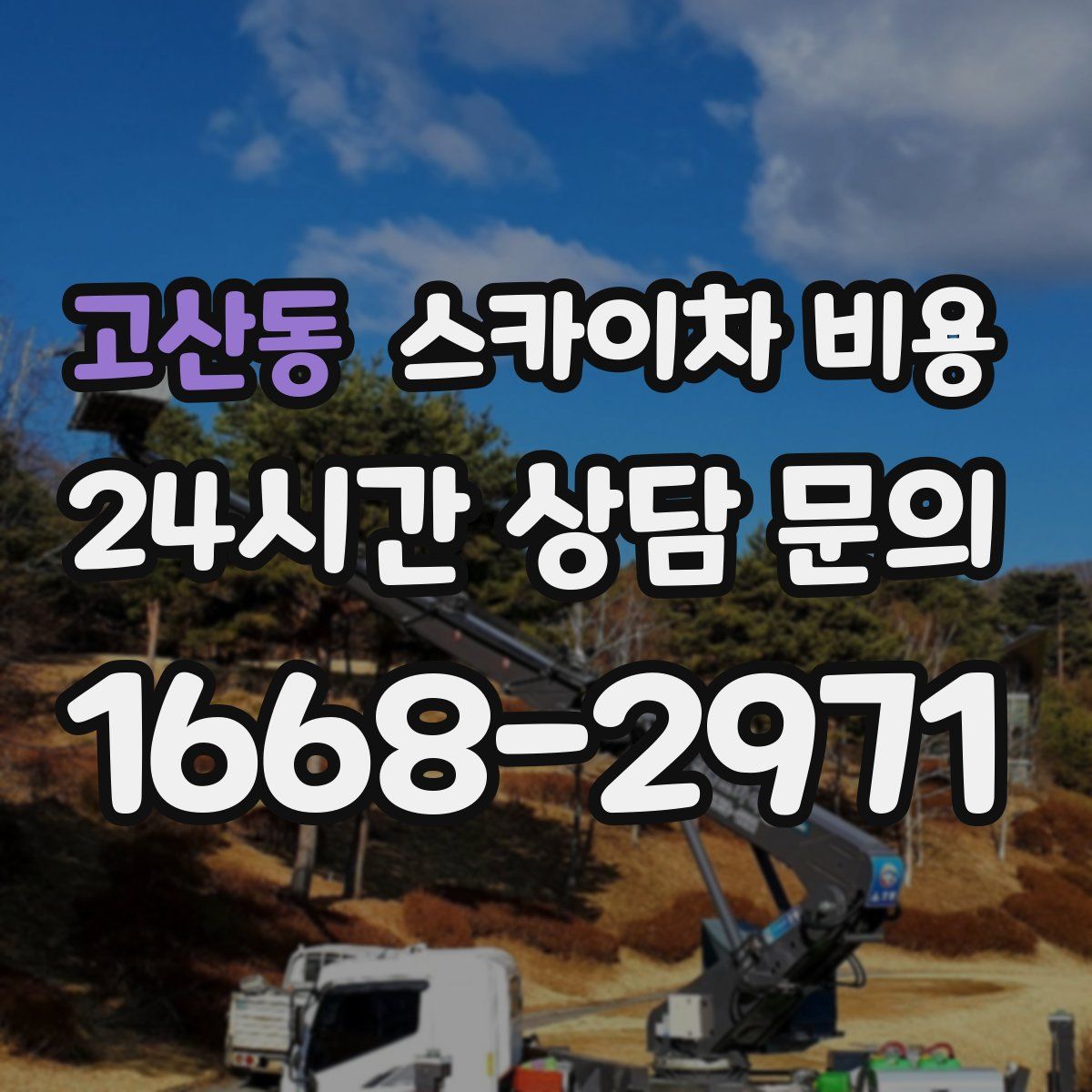 고산동 스카이차 비용