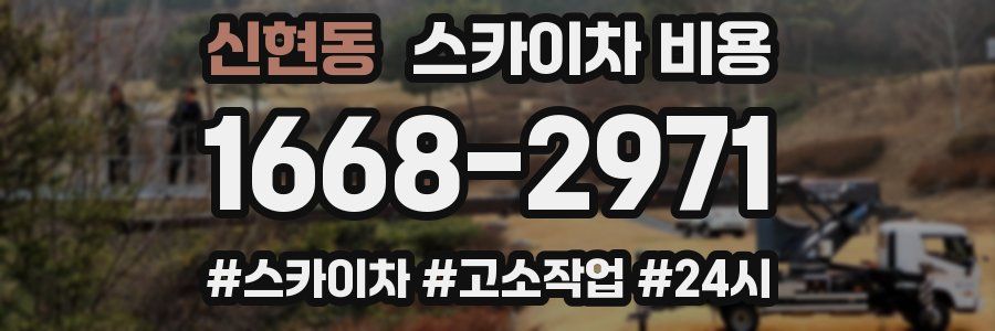 신현동 스카이차 비용