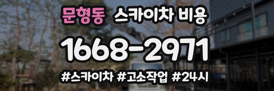 문형동 스카이차 비용