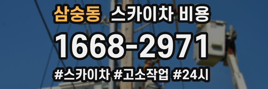 삼숭동 스카이차 비용