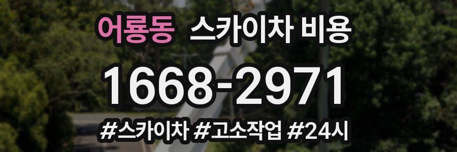 어룡동 스카이차 비용