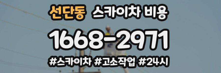 선단동 스카이차 비용