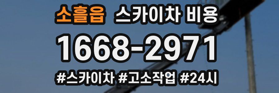 소흘읍 스카이차 비용