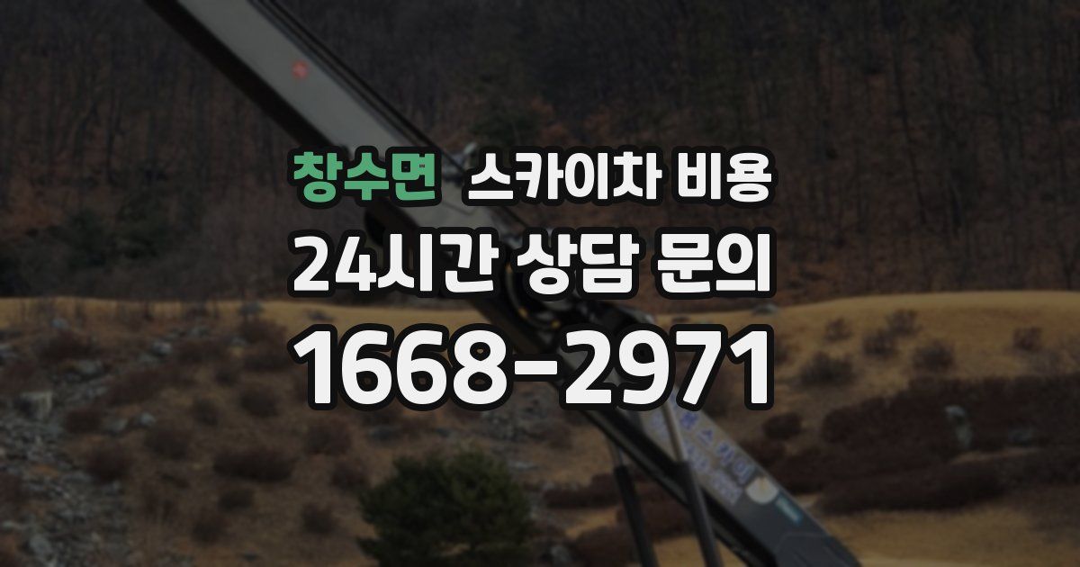 창수면 스카이차 비용