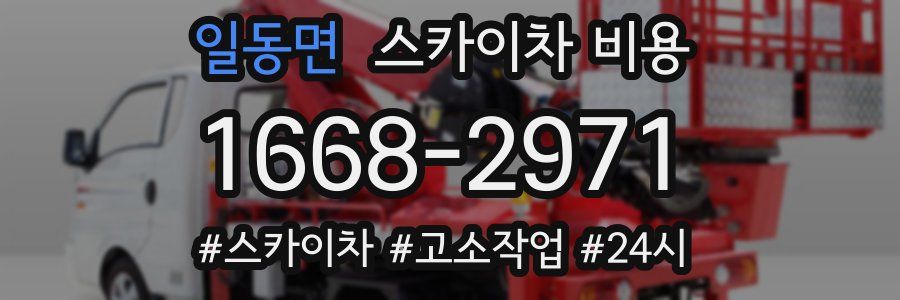 일동면 스카이차 비용