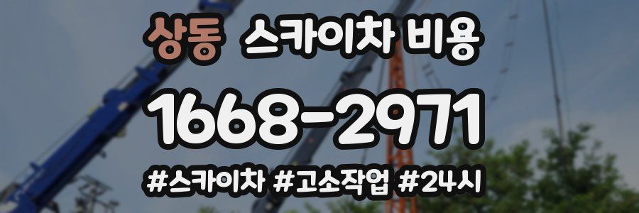 상동 스카이차 비용