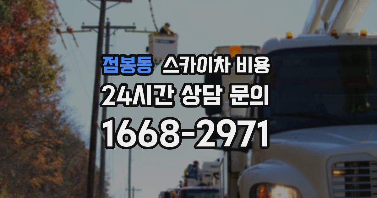 점봉동 스카이차 비용