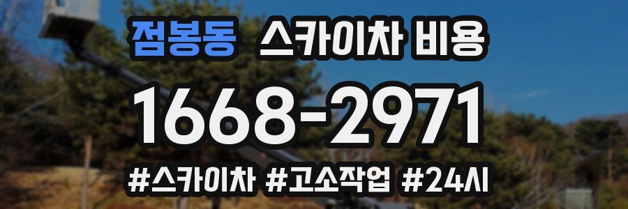 점봉동 스카이차 비용