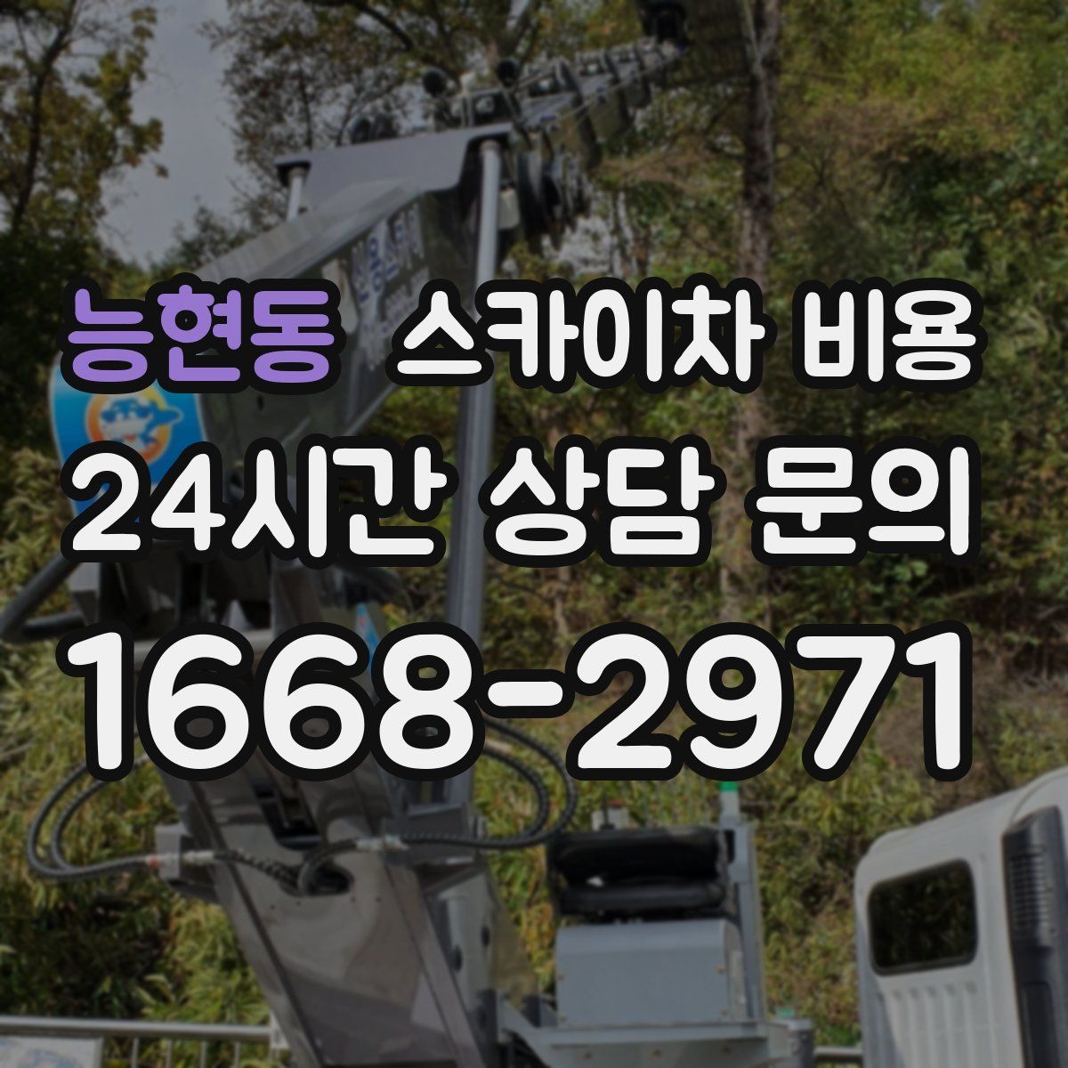 능현동 스카이차 비용