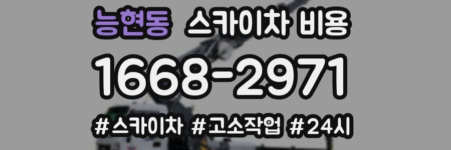 능현동 스카이차 비용