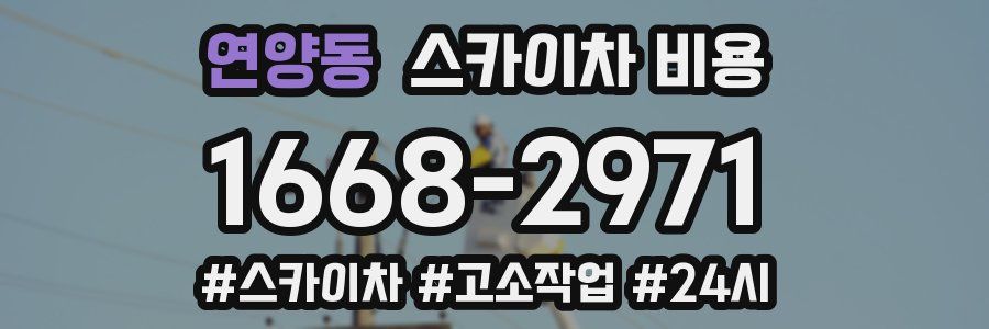 연양동 스카이차 비용