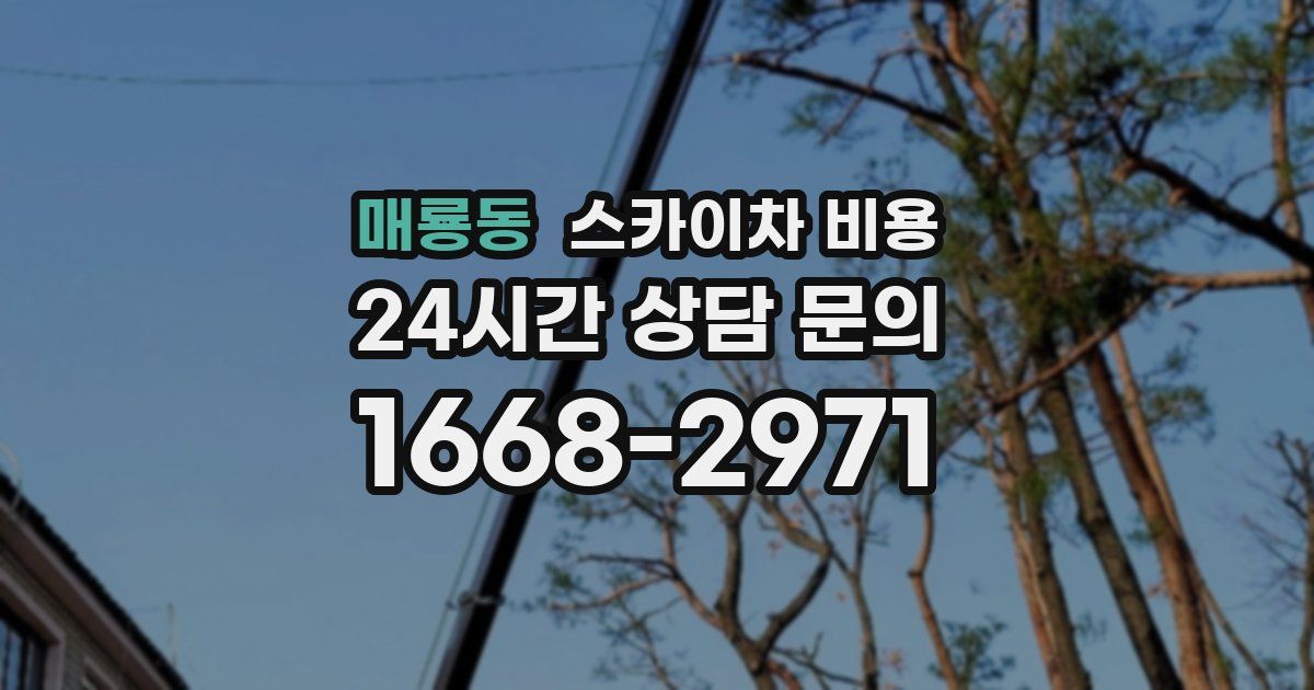 매룡동 스카이차 비용