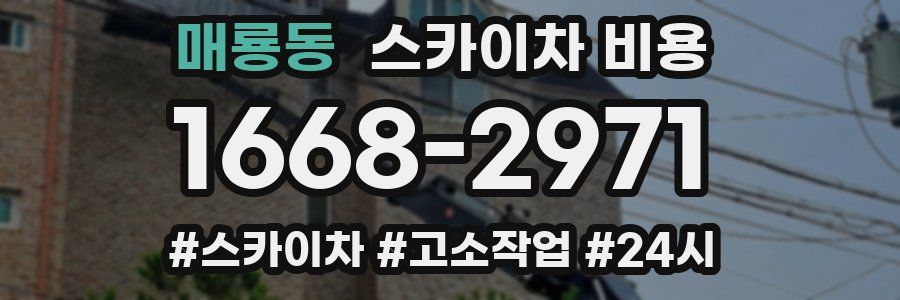 매룡동 스카이차 비용